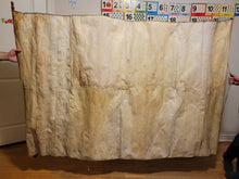 Load image into Gallery viewer, Genealogical Family Tree for the Ancient, Noble, and Knightly Family of Hamme. Manuscript on Parchment, Circa 1755, with additions until the 1870s