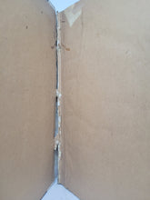 Load image into Gallery viewer, Tutte l'Opere d'Architettura et Prospettiva, 1600. Scarce Second Collected Edition of Serlio’s Famed Architectural Work, With Hundreds of Woodcuts, Many Full-Page