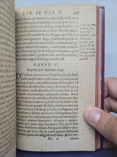 Load image into Gallery viewer, De Magorum Daemonomania Libri IV, 1603