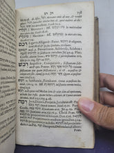 Load image into Gallery viewer, Johannis BuxtorfI lexicon Hebraicum et Chaldaicum: complectens omnes voces, tam primas quam derivatas, quae in Sacris Bibliis, Hebraea, & ex parte Chaldaea lingua scriptis, 1663