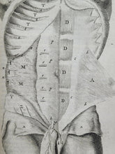 Load image into Gallery viewer, Anatomia ex Caspari Bartholini parentis Institutionibus omniumque recentiorum & propriis observationibus tertiùm ad sanguinis circulationem reformata, 1651