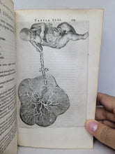 Load image into Gallery viewer, Anatomia ex Caspari Bartholini parentis Institutionibus omniumque recentiorum & propriis observationibus tertiùm ad sanguinis circulationem reformata, 1651