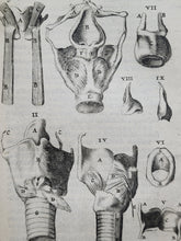 Load image into Gallery viewer, Anatomia ex Caspari Bartholini parentis Institutionibus omniumque recentiorum & propriis observationibus tertiùm ad sanguinis circulationem reformata, 1651