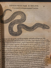 Load image into Gallery viewer, Les Observations de Plusieurs Singularitez et Choses Memorables, Trouuées en Grece, Asie, Iudée, Egypte, Arabie, & autres pays estranges redigées en trois liures, 1553