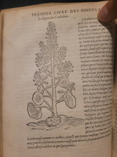 Load image into Gallery viewer, Les Observations de Plusieurs Singularitez et Choses Memorables, Trouuées en Grece, Asie, Iudée, Egypte, Arabie, & autres pays estranges redigées en trois liures, 1553