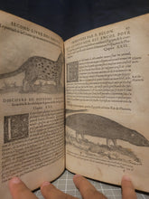 Load image into Gallery viewer, Les Observations de Plusieurs Singularitez et Choses Memorables, Trouuées en Grece, Asie, Iudée, Egypte, Arabie, & autres pays estranges redigées en trois liures, 1553