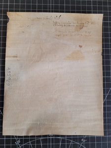 Medieval Charter. Manuscript on Parchment, January 7 1442. No 6
