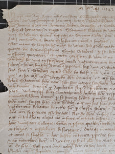 Medieval Charter. Manuscript on Parchment, January 21 1442. No 3