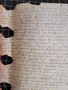 Medieval Charter. Manuscript on Parchment, January 7 1442. No 20