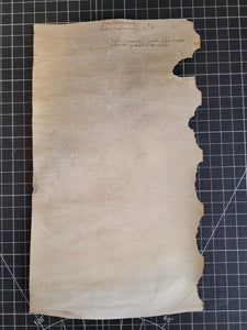 Medieval Charter. Manuscript on Parchment, January 7 1442. No 5