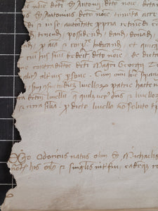 Medieval Charter. Manuscript on Parchment, January 7 1442. No 31