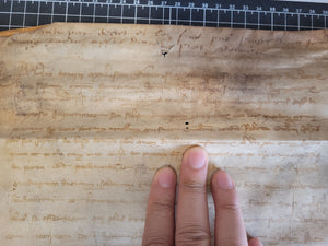 Medieval Charter. Manuscript on Parchment, 1351