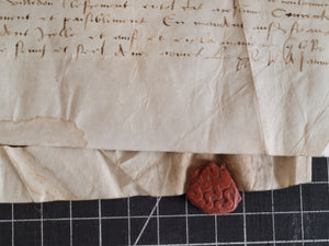 Medieval Charter concerning Jacques de Villedon. Manuscript on Parchment, February 7 1479