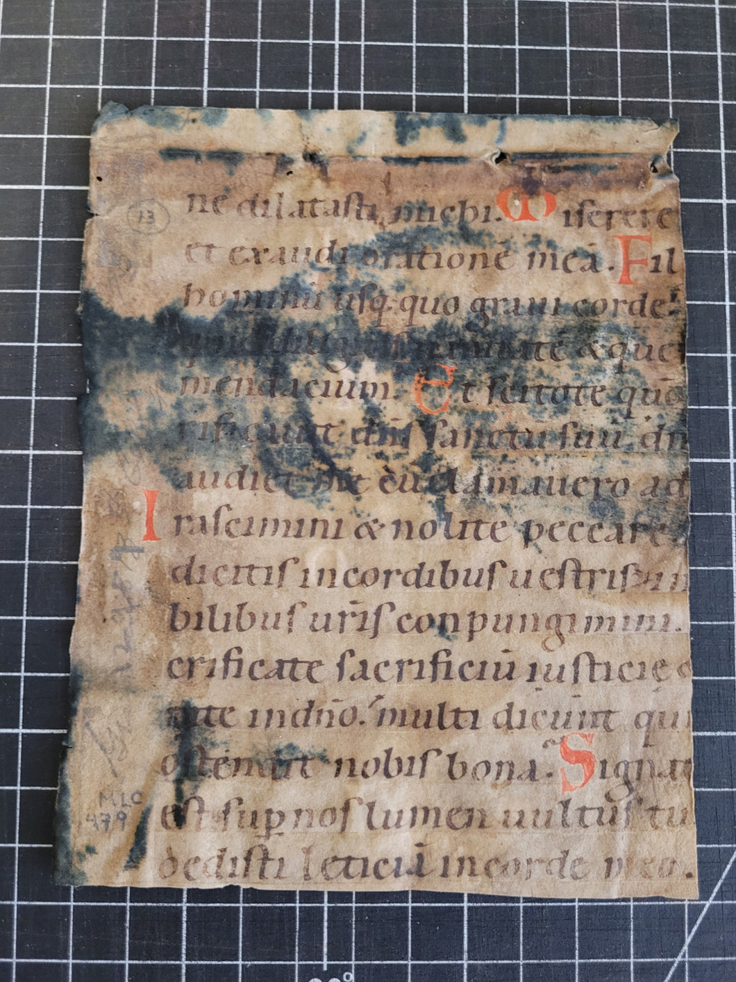 Fragment from a German Psalter, 12th Century