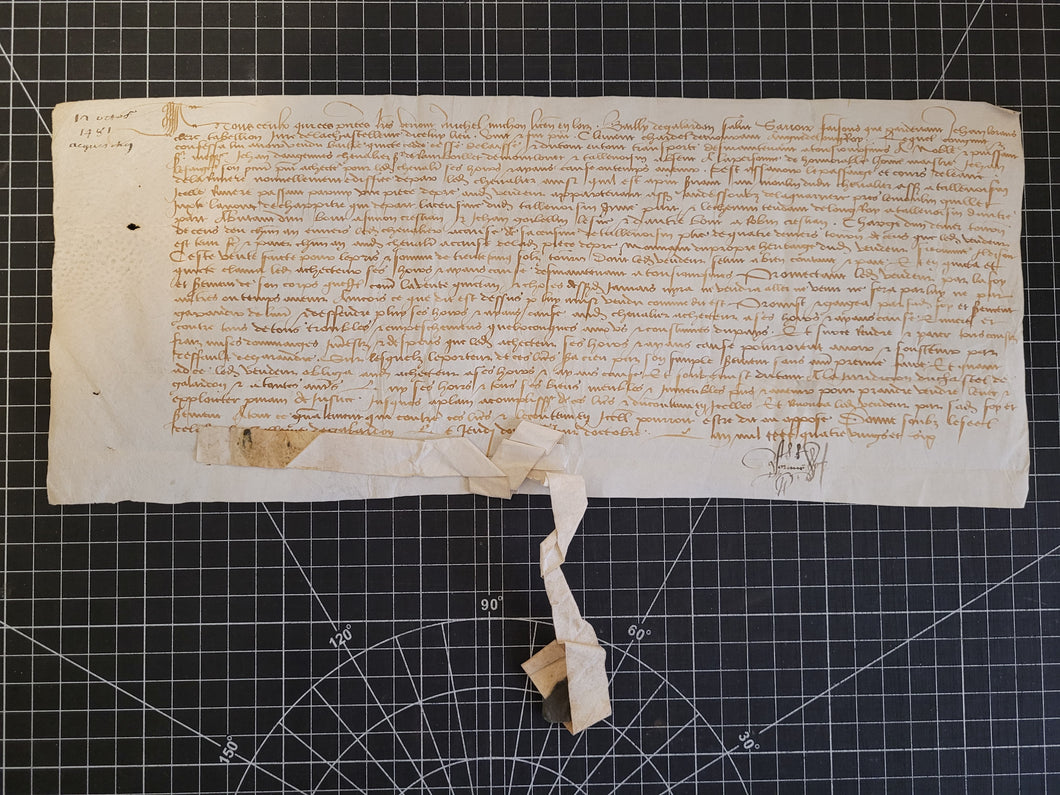 Medieval Charter. Manuscript on Parchment, October 1481