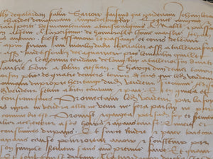 Medieval Charter. Manuscript on Parchment, October 1481