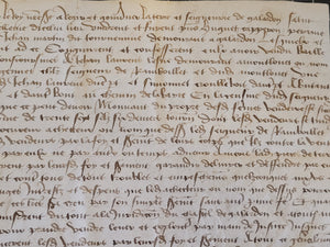 Medieval Charter. Manuscript on Parchment, 1467. #7175