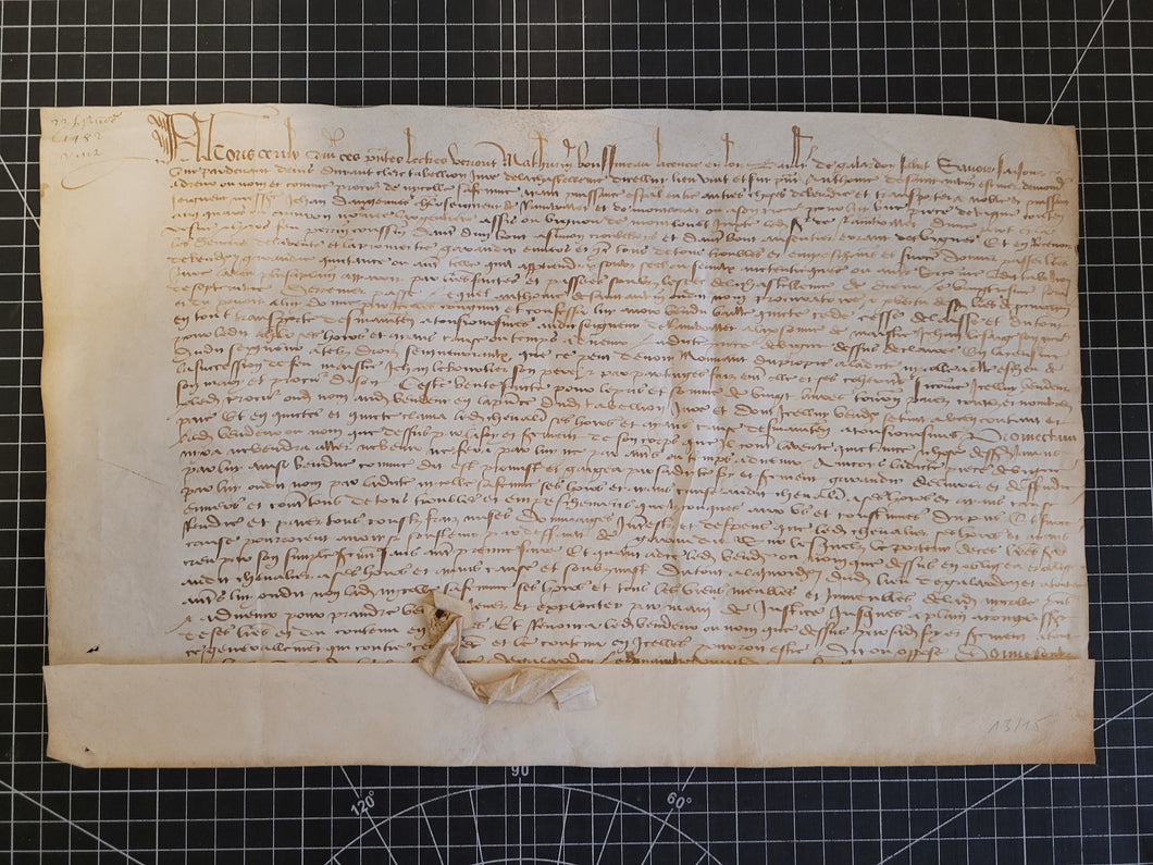Medieval Charter. Manuscript on Parchment, 1482