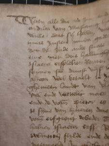 Medieval Charter. Manuscript on Parchment, 15th Century. 43-Line Format