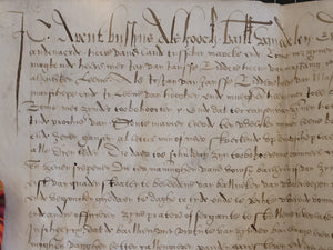Renaissance Charter. Manuscript on Parchment, 16th Century