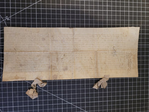 Medieval Charter. Manuscript on Parchment, 15th Century. 19-Line Format