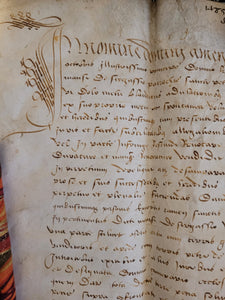 Medieval Charter. Manuscript on Parchment, 1485