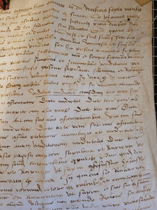 Medieval Charter. Manuscript on Parchment, 1485