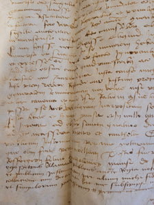 Medieval Charter. Manuscript on Parchment, 1485