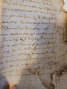 Medieval Charter. Manuscript on Parchment, 1498
