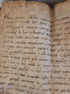 Medieval Charter. Manuscript on Parchment, 1289