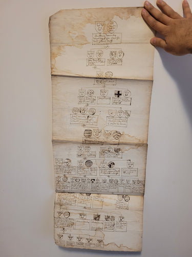 Genealogical Family Tree Sketch of the D’armdre(?) Family. Manuscript on Paper, 17th Century