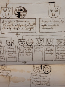 Genealogical Family Tree Sketch of the D’armdre(?) Family. Manuscript on Paper, 17th Century