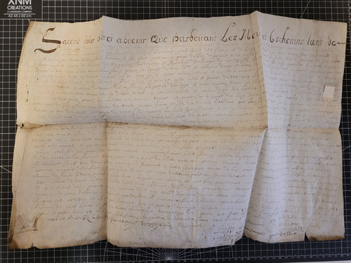 Letter of Constitution of Life Annuity for Jean de Fontaine, Lieutenant and Grand Bailiff of Flobecq and Lessines, 1684