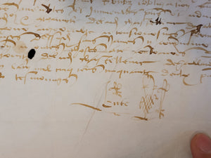Renaissance Charter. Manuscript on Parchment, May 4 1552