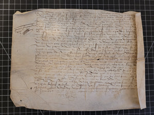 Renaissance Charter. Manuscript on Parchment, XXX 25 1550