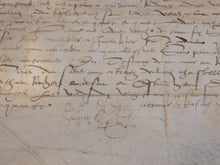 Load image into Gallery viewer, Renaissance Charter. Manuscript on Parchment, XXX 25 1550