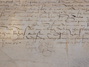 Renaissance Charter. Manuscript on Parchment, XXX 25 1550
