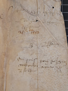 Renaissance Charter. Manuscript on Parchment, XXX 25 1550