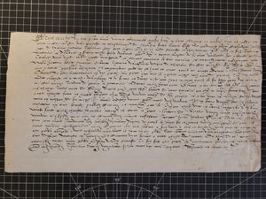 Renaissance Charter. Manuscript on Parchment, 1552