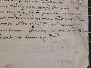 Renaissance Charter. Manuscript on Parchment, 1552