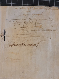 Renaissance Charter. Manuscript on Parchment, September 1 1526