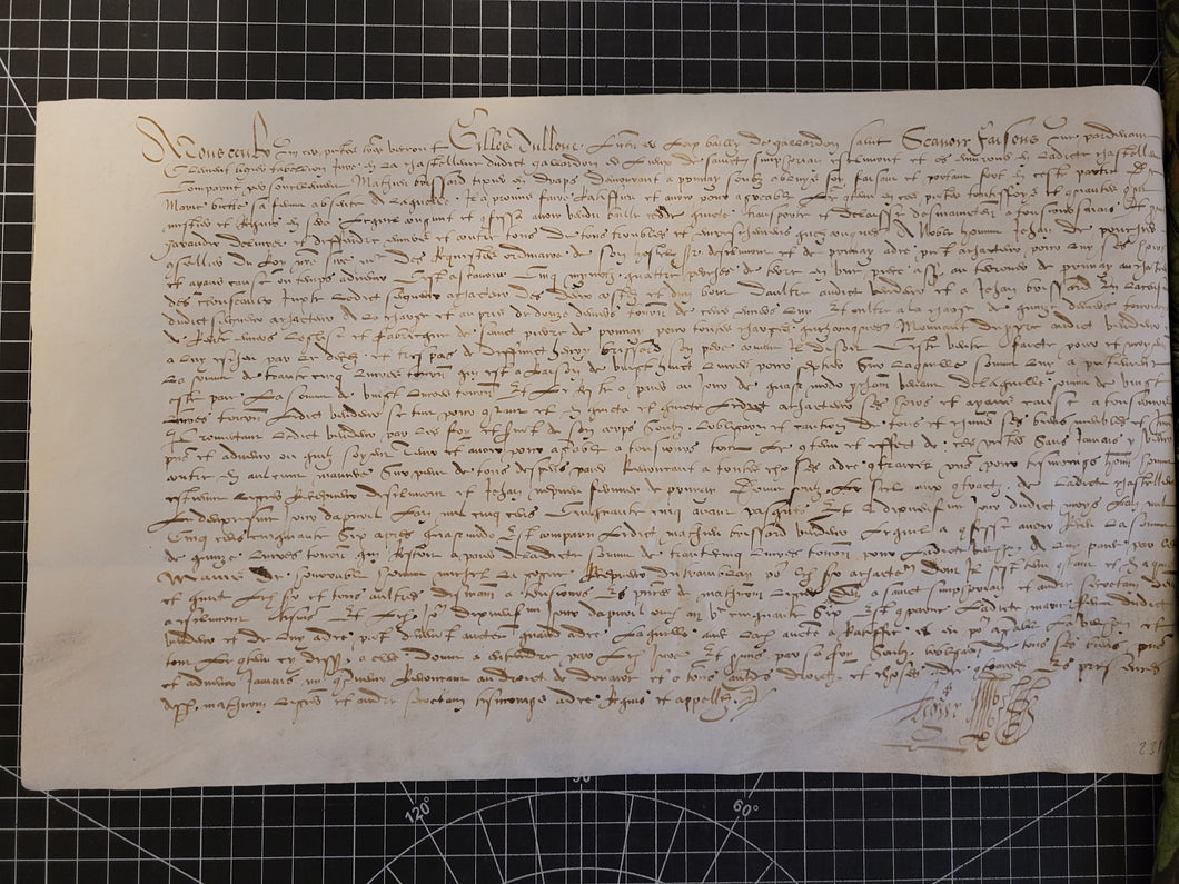 Renaissance Charter. Manuscript on Parchment, 1556