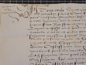 Renaissance Charter. Manuscript on Parchment, April 30 1539