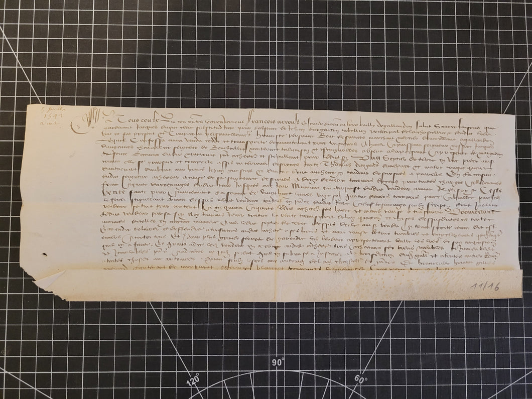 Renaissance Charter. Manuscript on Parchment, July 5 1542