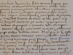 Renaissance Charter. Manuscript on Parchment, July 5 1542