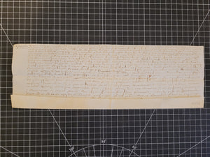 Renaissance Charter. Manuscript on Parchment, June 16 1563