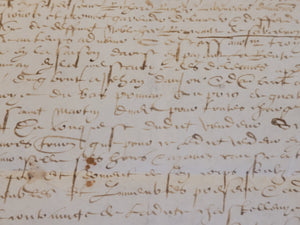 Renaissance Charter. Manuscript on Parchment, June 16 1563
