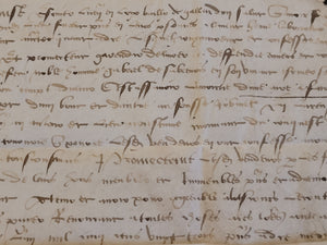Renaissance Charter. Manuscript on Parchment, November 5 1523