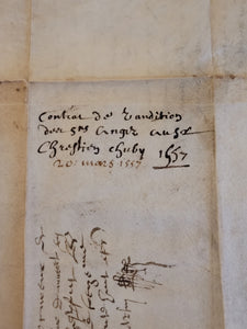 Renaissance Charter. Manuscript on Parchment, March 20 1557