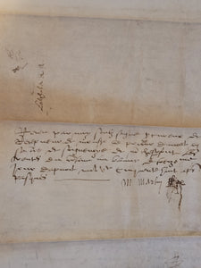 Renaissance Charter. Manuscript on Parchment, March 20 1557